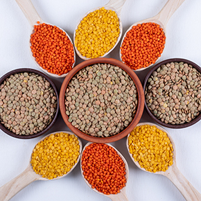 Pulses (Dals)